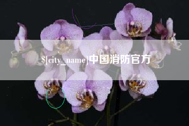 宜阳中国消防官方