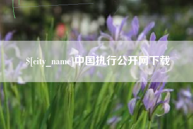 宜阳中国执行公开网下载