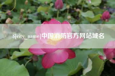 宜阳中国消防官方网站域名