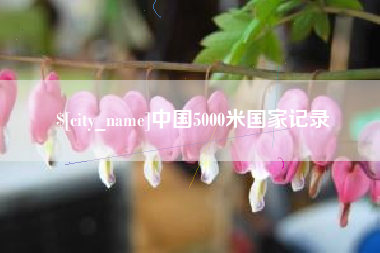 宜阳中国5000米国家记录