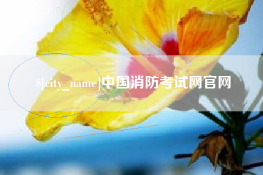 宜阳中国消防考试网官网