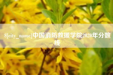 宜阳中国消防救援学院2020年分数线