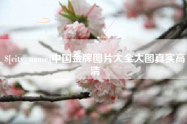 宜阳中国金牌图片大全大图真实高清