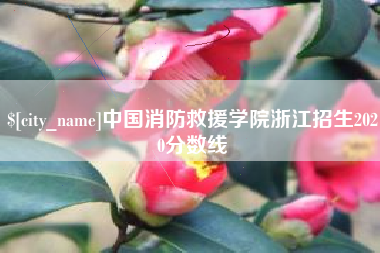 宜阳中国消防救援学院浙江招生2020分数线