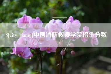 宜阳中国消防救援学院招生分数
