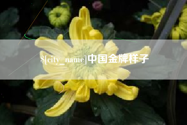 宜阳中国金牌样子