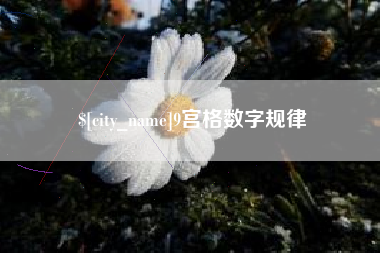 宜阳9宫格数字规律