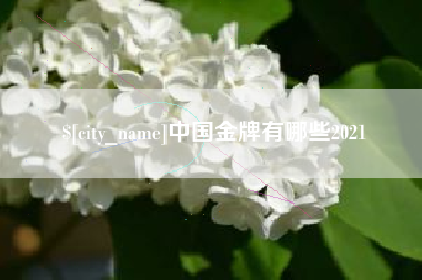 宜阳中国金牌有哪些2021