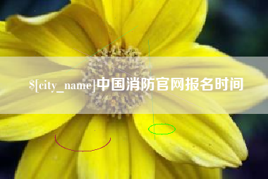 宜阳中国消防官网报名时间