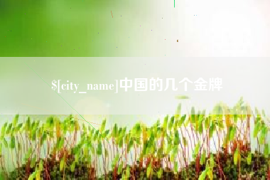 宜阳中国的几个金牌