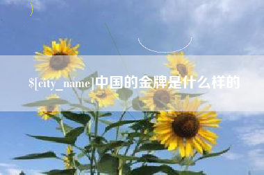 宜阳中国的金牌是什么样的