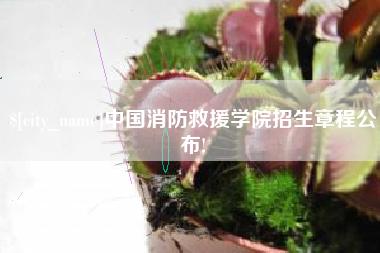 宜阳中国消防救援学院招生章程公布!