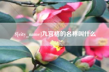 宜阳九宫格的名称叫什么