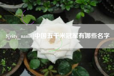 宜阳中国五千米冠军有哪些名字