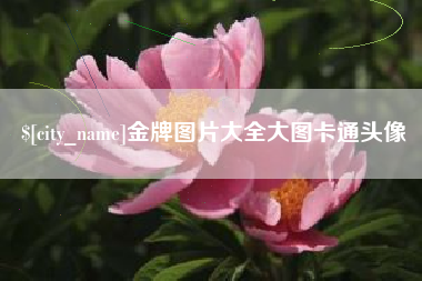 宜阳金牌图片大全大图卡通头像