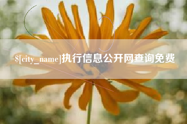 宜阳执行信息公开网查询免费