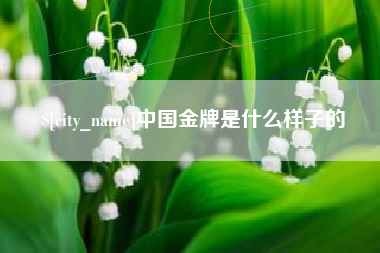 宜阳中国金牌是什么样子的